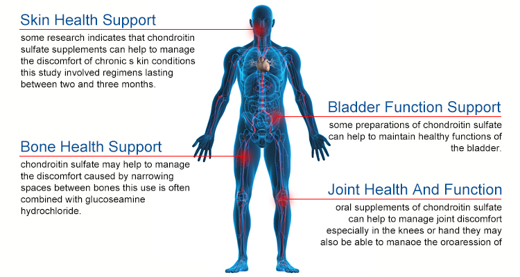 joint health cas 9082079 chondroitin sulfate supplement