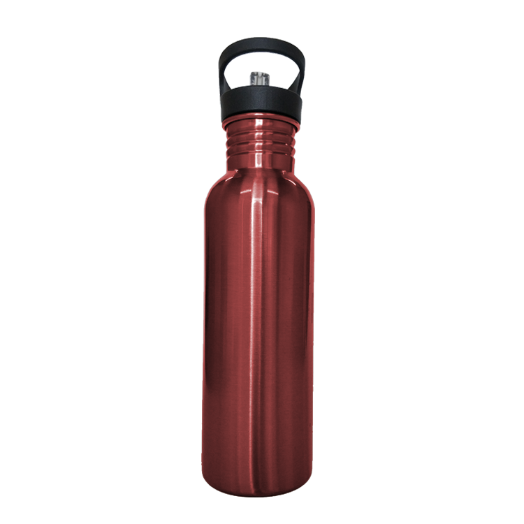 Virus Removal Sport Bottles Stainless Steel BPA Free Water Bottle Filter