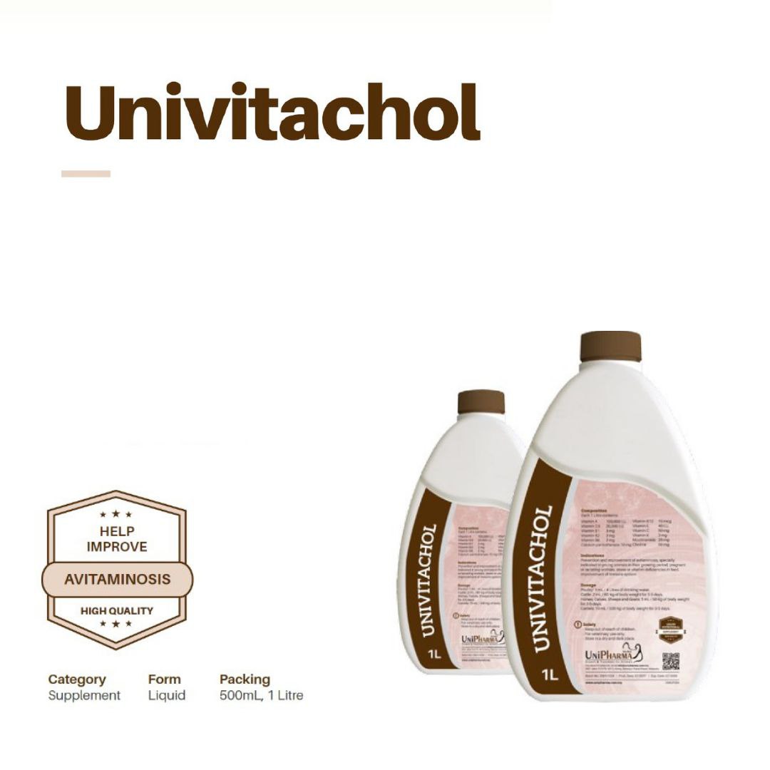 UNIVITACHOLAnimal Feed AdditivesHigh Quality ProductUnipharmaAnimal SupplementVeterinary Product