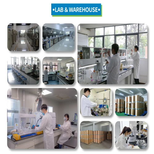 Pharmaceutical Raw Materials Prilocaina Powder