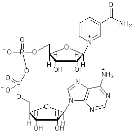 BetaNicotinamide Adenine Dinuclotide for health care