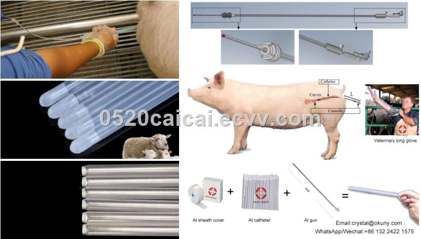 Veterinary Insemination Inseminasi Artificial Equino Kit AI Gun Transparent Sanitaire Catheter for Dog