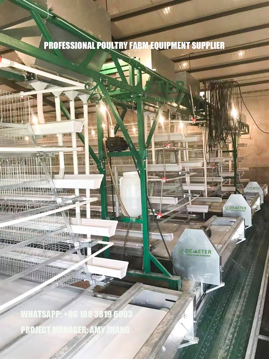 Chicken cages for sale battery chciken cage layer chicken cage