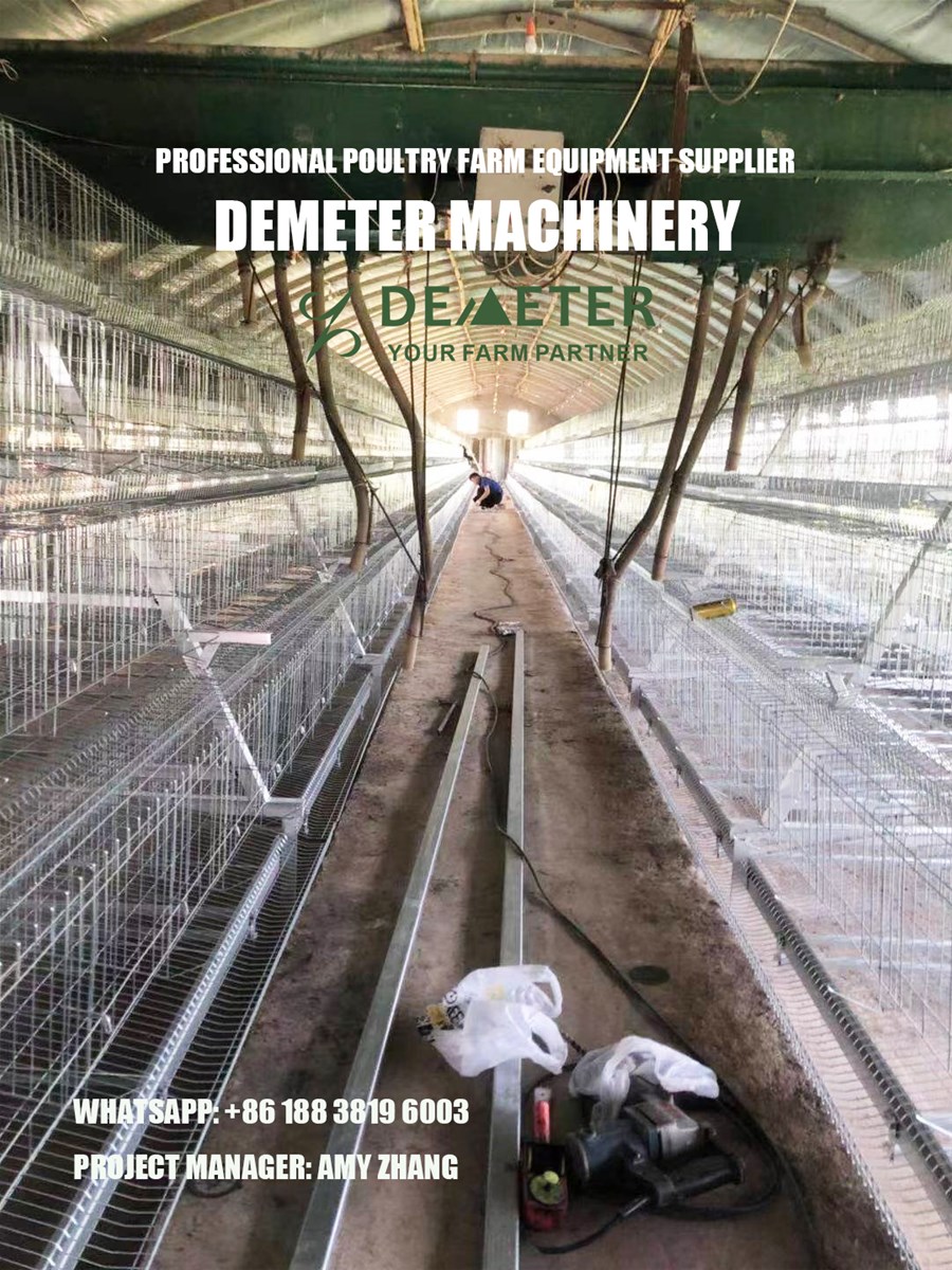 China factory chicken battery cage for sale in Nigeria