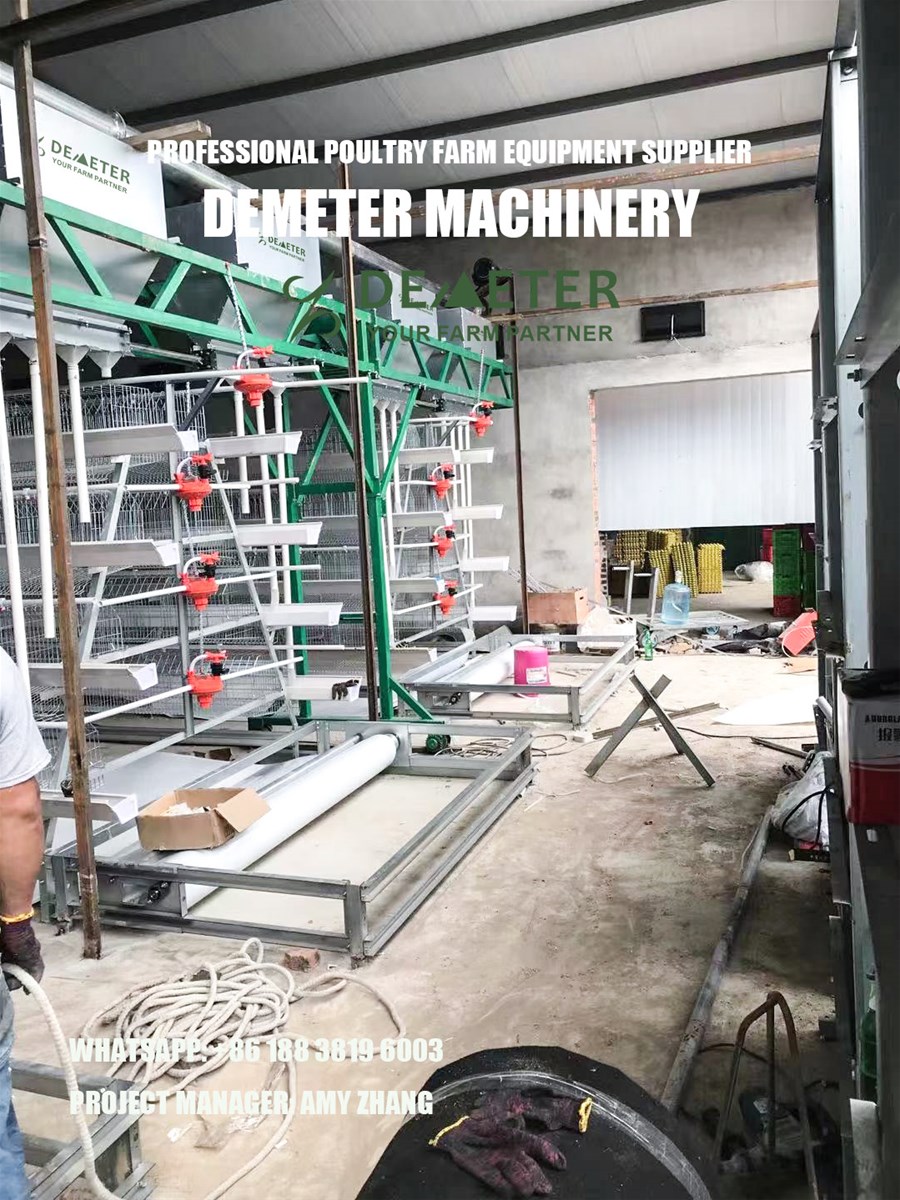 Poultry farming layer chicken cage for sale in Nigeria