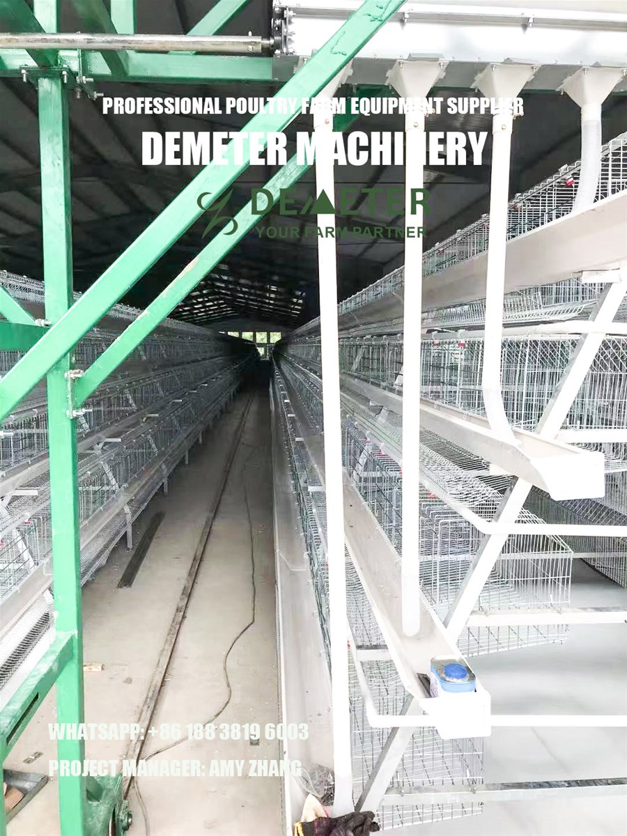 China best chicken cage A type 4 tier layer cage