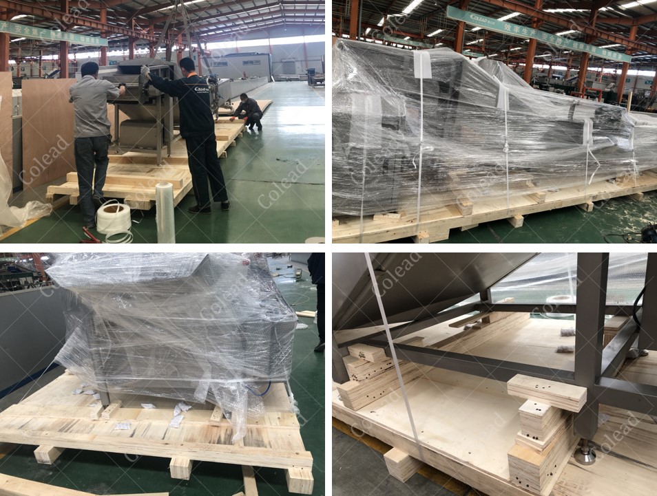 Palm dates processing line for washing drying and packaging