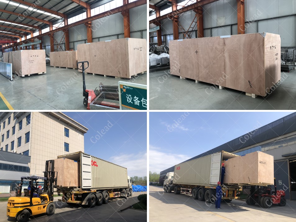 Palm dates processing line for washing drying and packaging