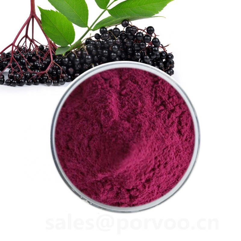 Best Price AnthocyanidinsBlack Elderberry Extract Powder