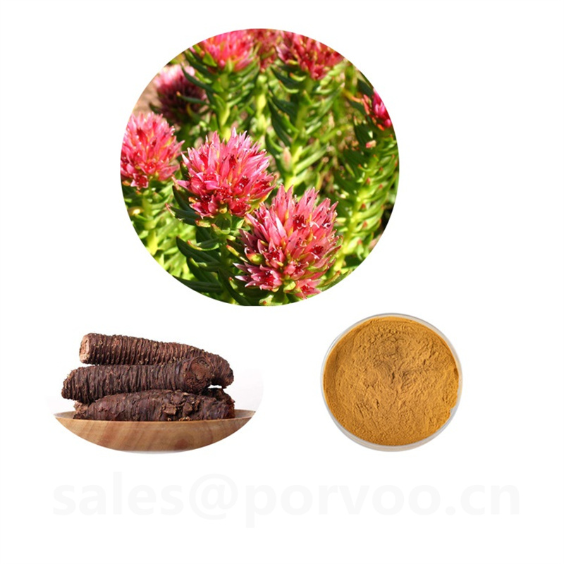 Rhodiola extractmain functions of rhodiola rosea Extractfor Strengthen immune and skin care