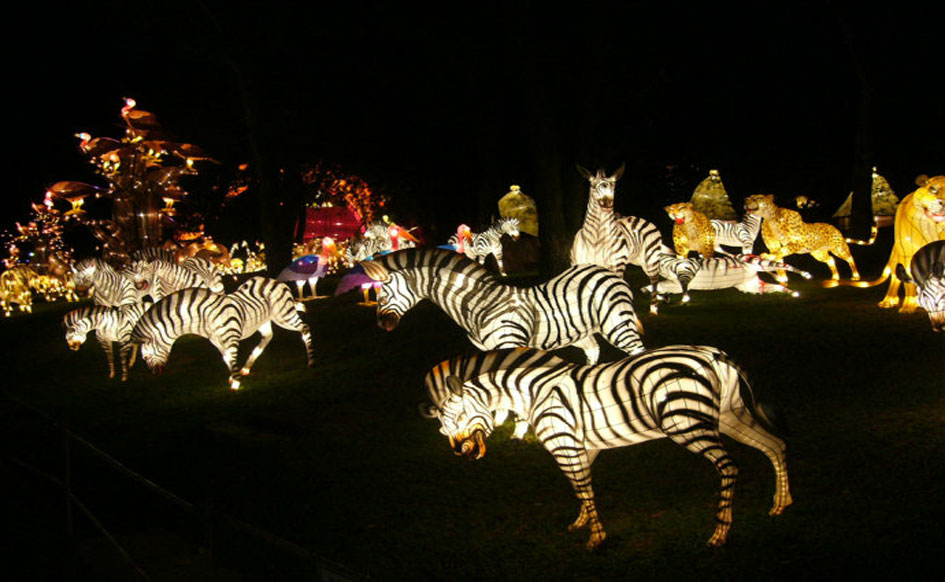 ZebraShaped Lantern deyiculture
