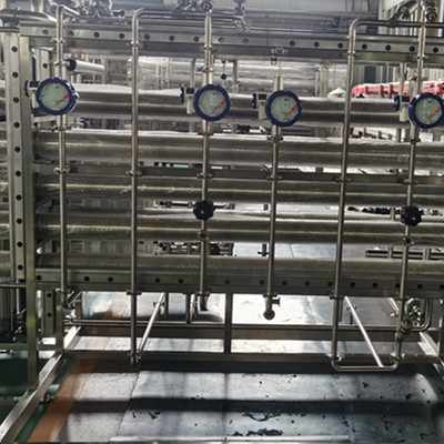SS316 RO EDI High Purified Water Treatment Equipment for Pharmaceutical and Medical