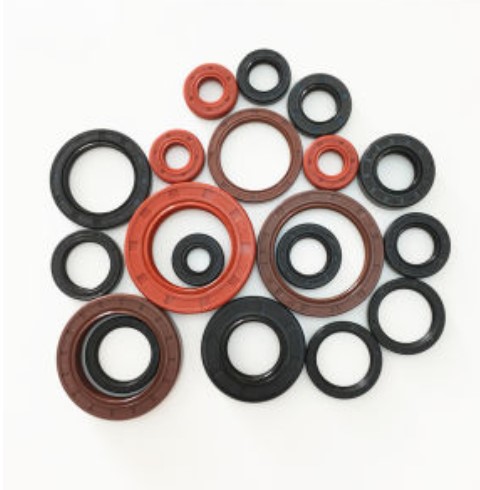 manufacture all of viton oil sealsTC OIL SEALS