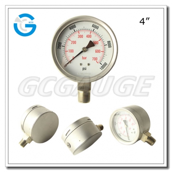 Safety Pressure Gauge 20 21 09 024