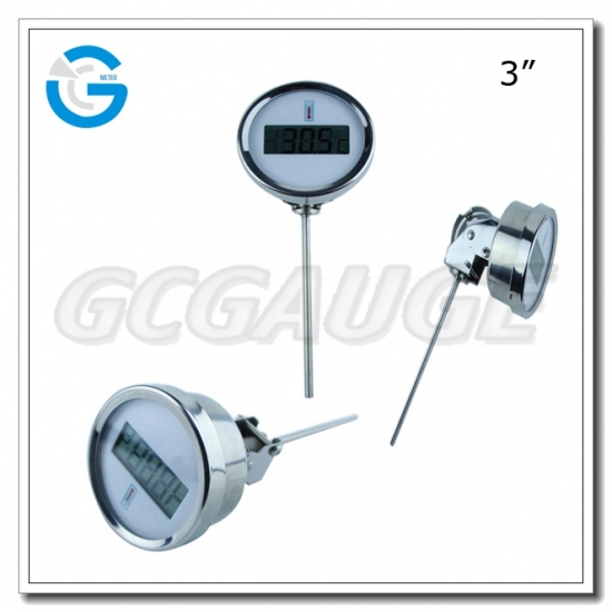 Solar Digital Thermometer 2021