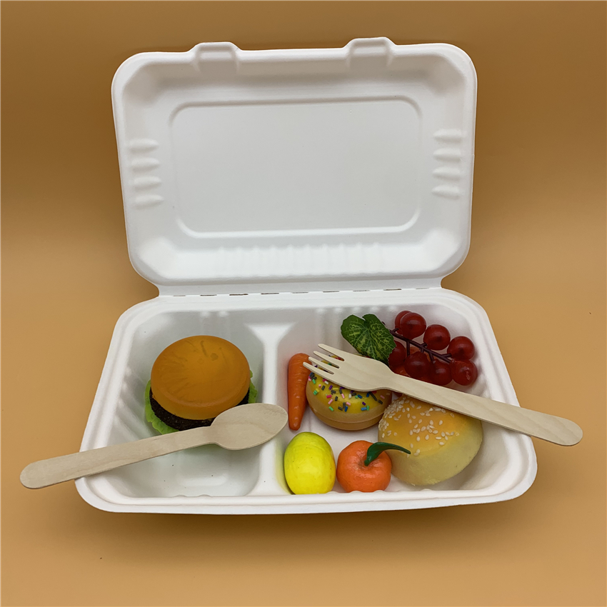 100 biodegradable bagasse takeaway food boc