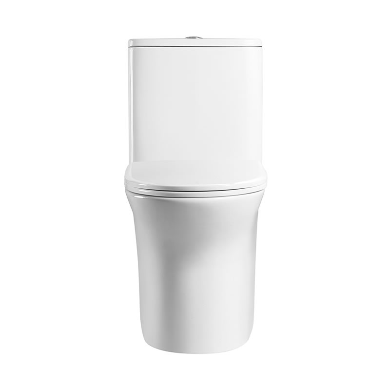 High quality dual flush rimless washdown ptrap one piece toilet for bathroom ceramic