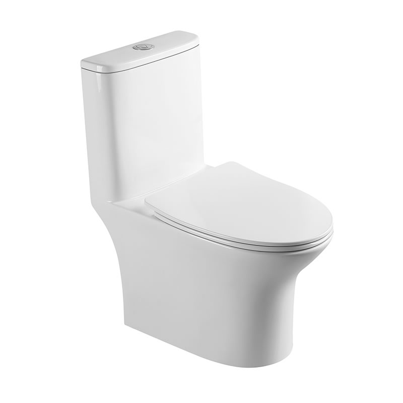 High quality dual flush rimless washdown ptrap one piece toilet for bathroom ceramic