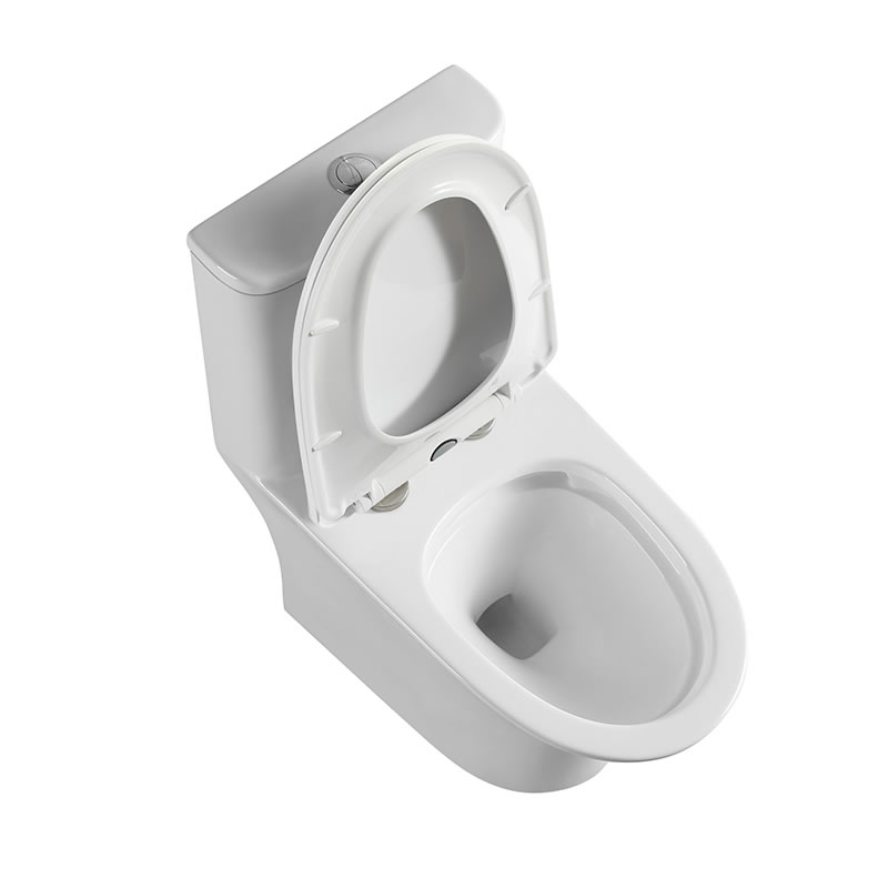 High quality dual flush rimless washdown ptrap one piece toilet for bathroom ceramic