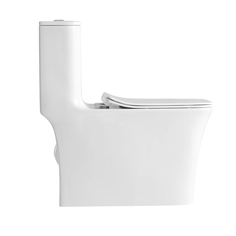 Modern square washdown rimless Ptrap wall mounted toilet for home bathroom
