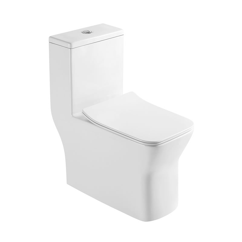 Sanitary wares ceramic washdown one piece toilets for western toilet