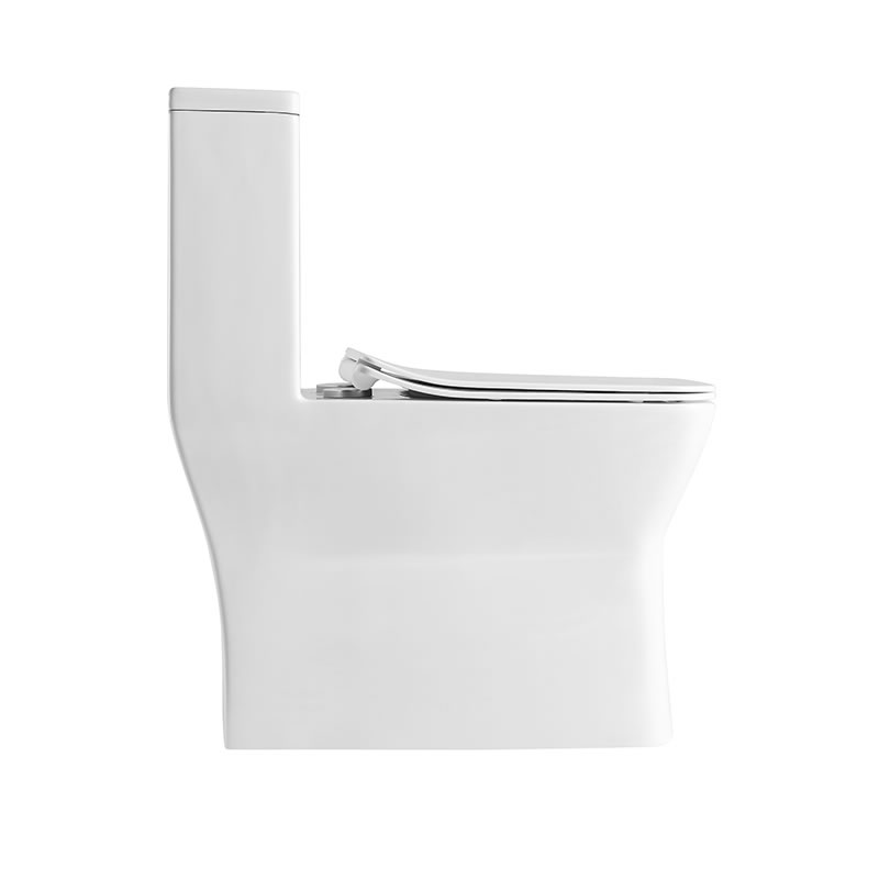 Sanitary wares ceramic washdown one piece toilets for western toilet