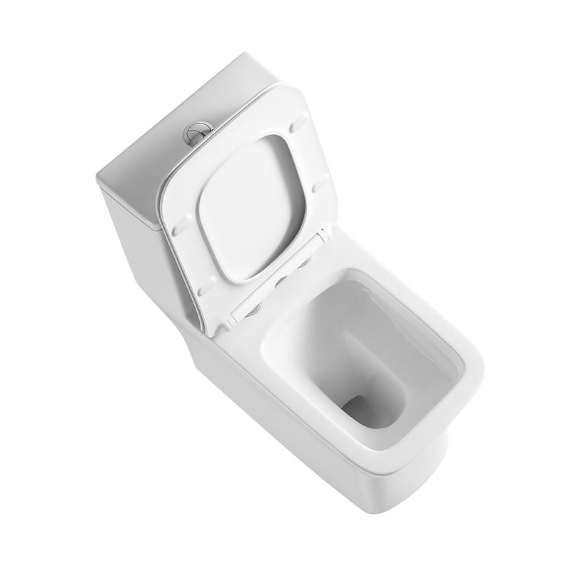 Sanitary wares ceramic washdown one piece toilets for western toilet