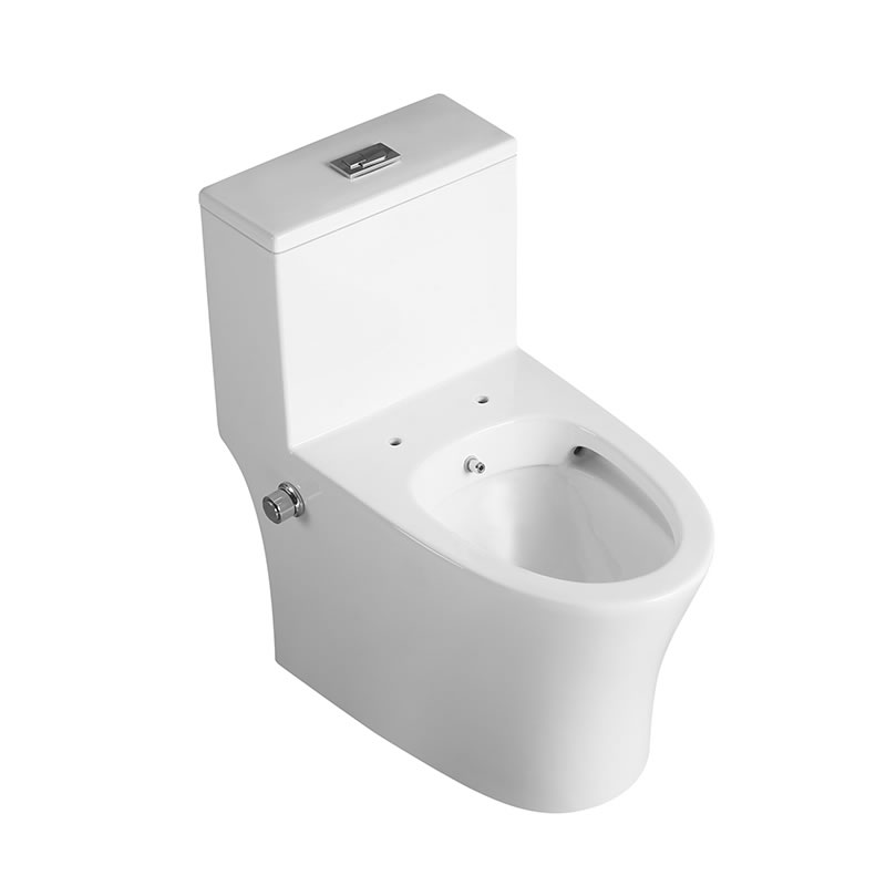 high quality sanitary ware ceramic washdown one piece bidet toilet wc for home bathroom