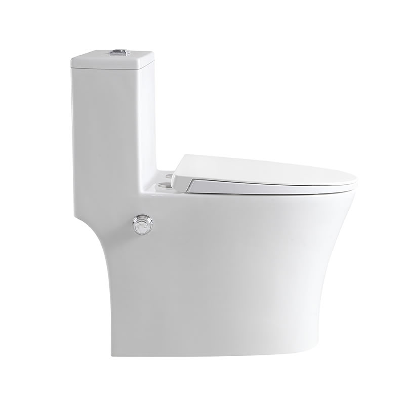 high quality sanitary ware ceramic washdown one piece bidet toilet wc for home bathroom