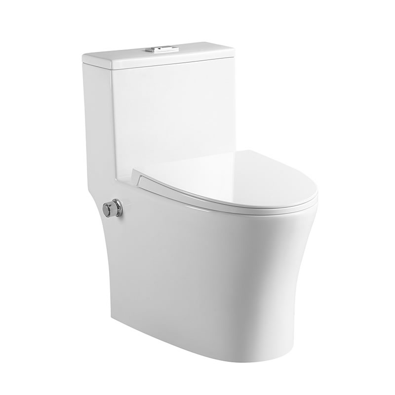 high quality sanitary ware ceramic washdown one piece bidet toilet wc for home bathroom