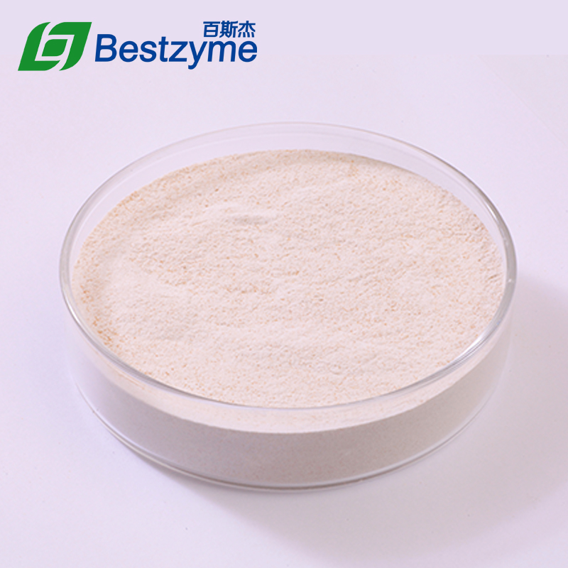Alpha Galactosidase Jinan Bestzyme BioEngineering