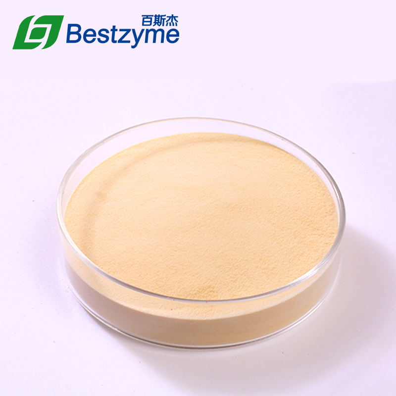 Beta Glucanase Jinan Bestzyme BioEngineering