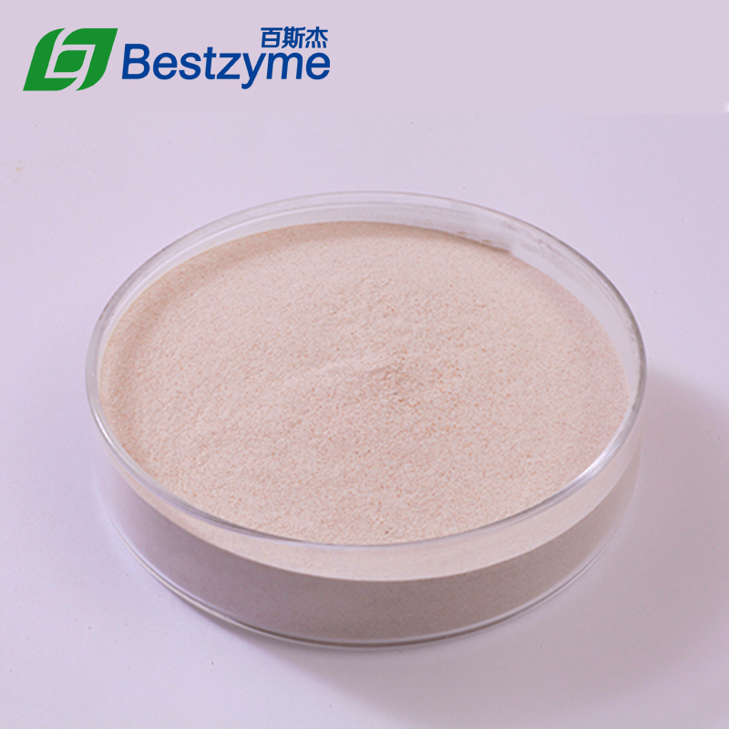 Alpha AmylaseJinan Bestzyme BioEngineering