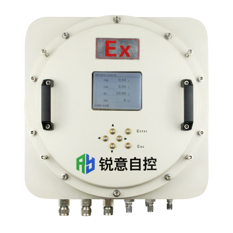 Online Biogas Analysis System Gasboard3500