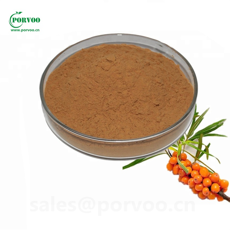 Sea buckthorn extractSea Buckthorn Factory Hippophae rhamnoides extract for skin benefits