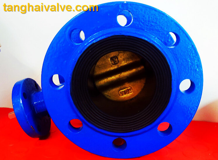 Double flange butterfly valve THBTVDF
