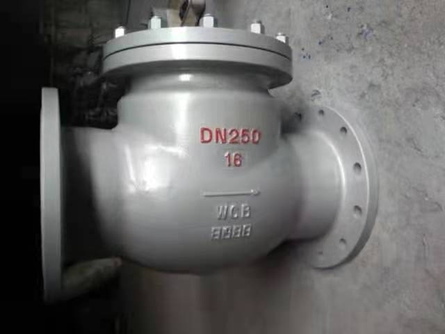 Tilting disc swing check valve THCKVTDS