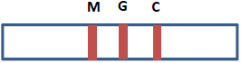 SARSCov2 IgMIgG Duo Test KitColloidal Gold