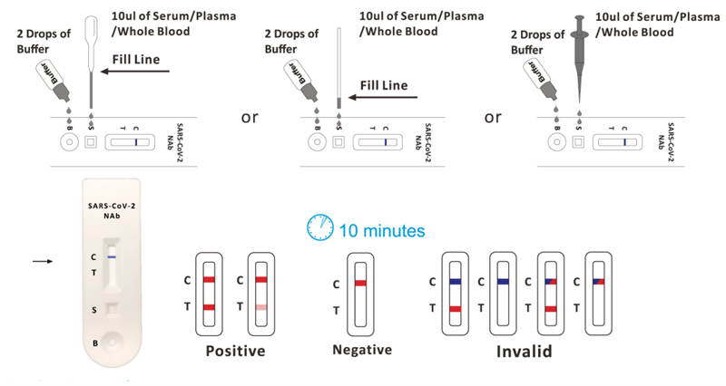 SARSCov2 Neutralizing Antibody Rapid Test KitColloidal Gold