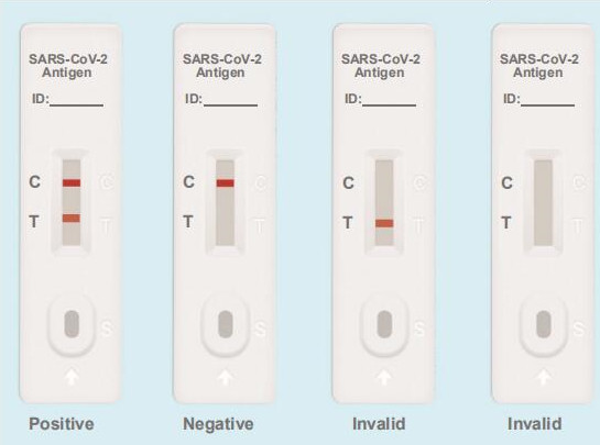 SARSCoV2 Ag Rapid Test Colloidal Gold