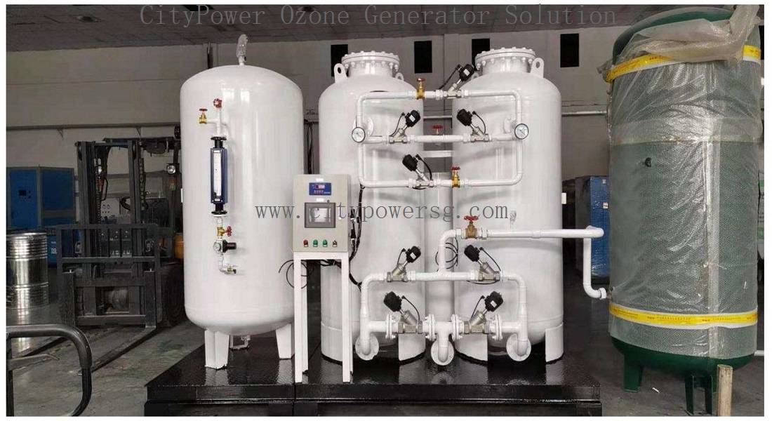 PSA Oxygen Generationoxygen concentrator System for industry
