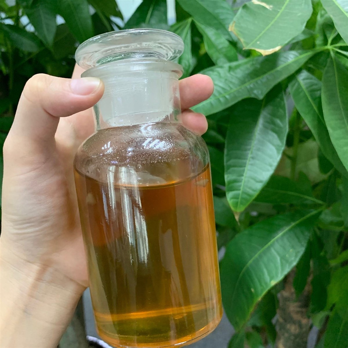 Top Quality CAS 28578167 PMK Oil