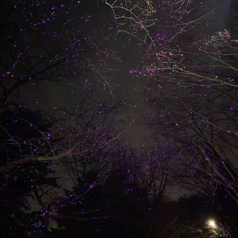 Outdoor Park Starry Sky Laser Light Firefly Effect IP65 Waterproof