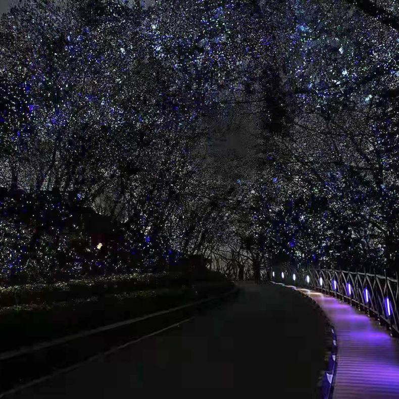 Outdoor Park Starry Sky Laser Light Firefly Effect IP65 Waterproof
