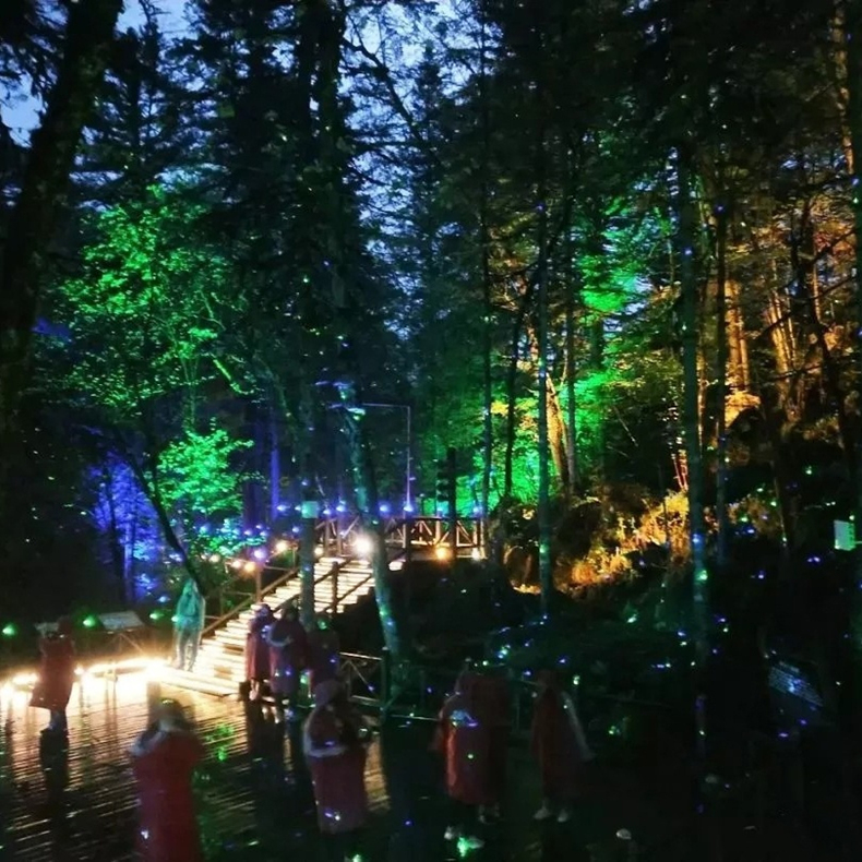 Outdoor Park Starry Sky Laser Light Firefly Effect IP65 Waterproof