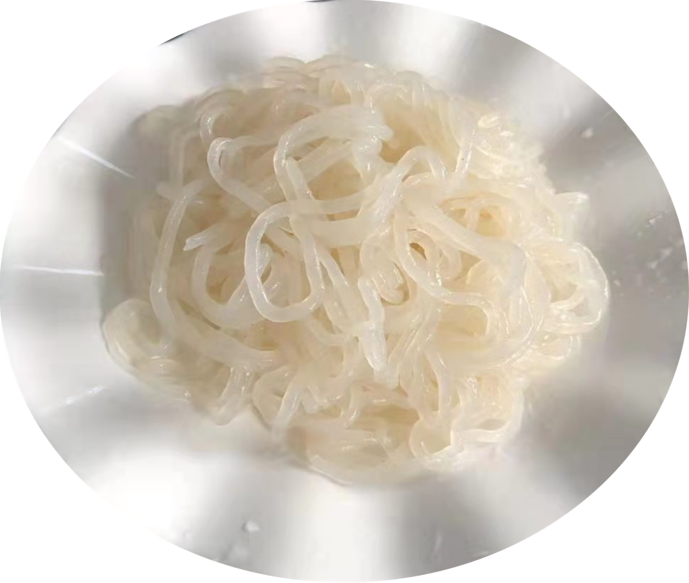 konjac noodles pastaspaghetti fettuccine shirataki zero carb noodles