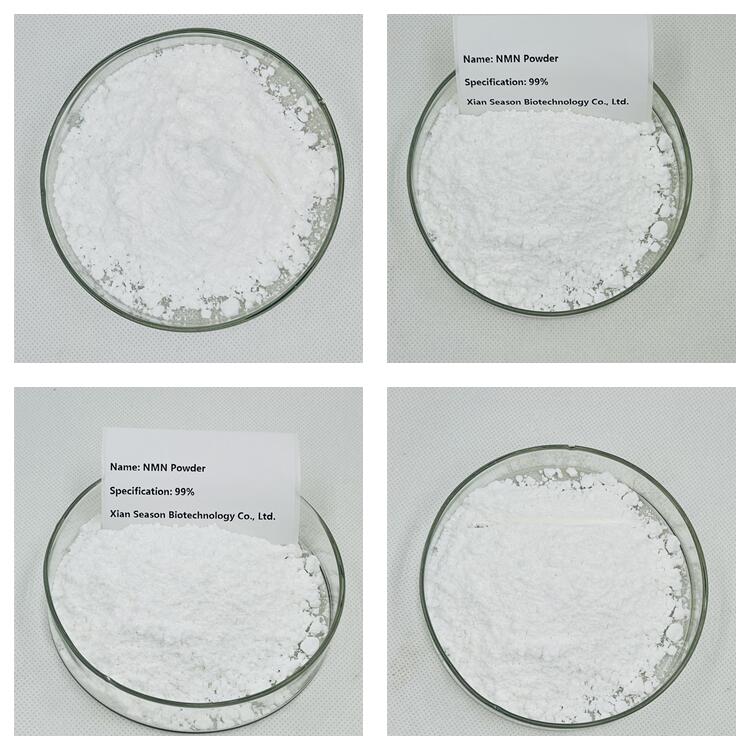 Antiaging 99 Nicotinamide Mononucleotide NMN Powder