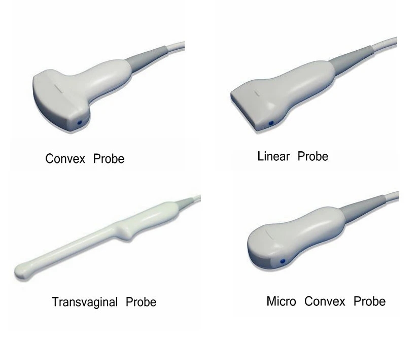 Portable BW Ultrasound Scanner with Clear Image Quality