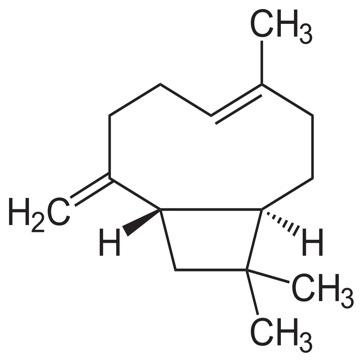 Beta Caryophyllene 95 CL603