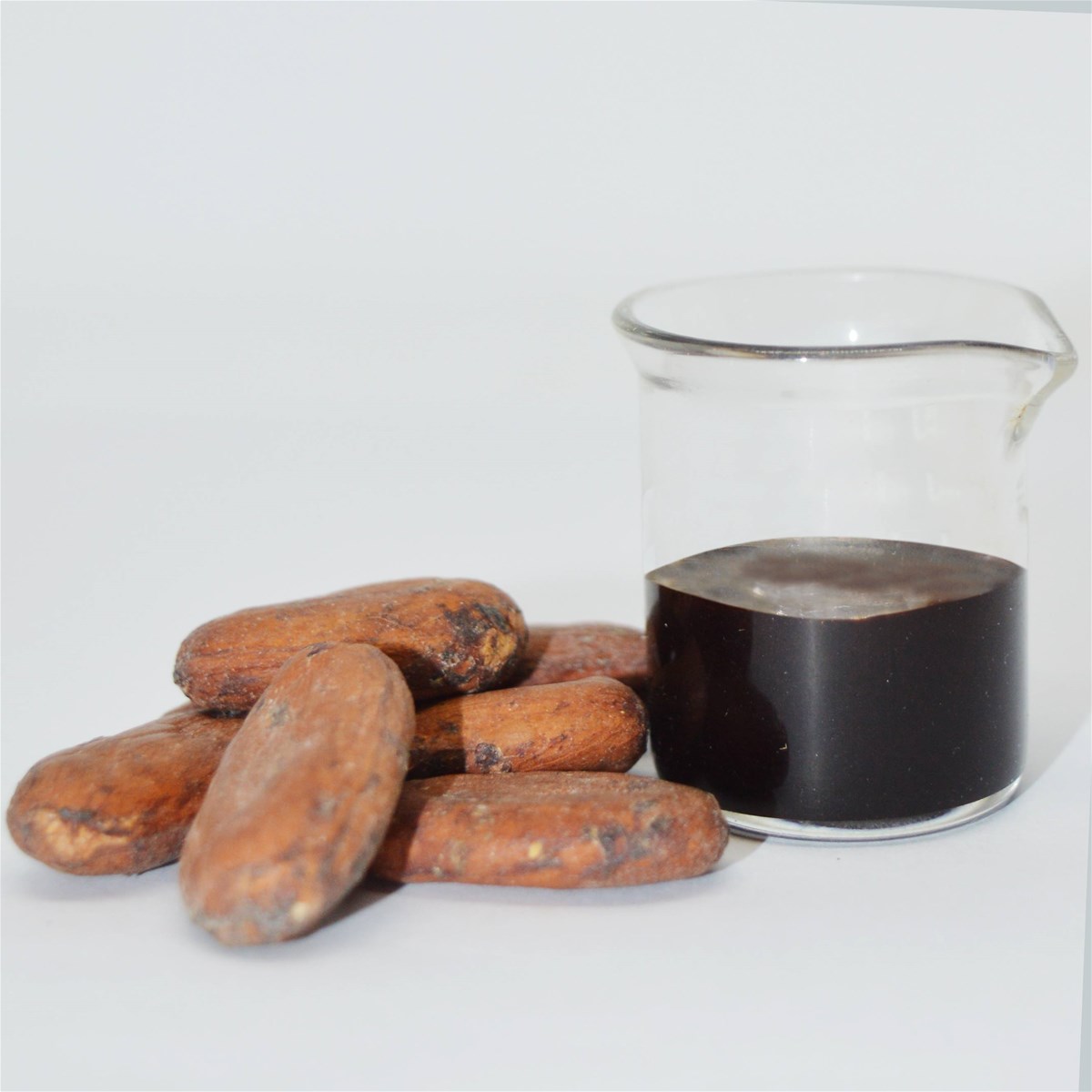 Cocoa Extract CC0201 Van Aroma
